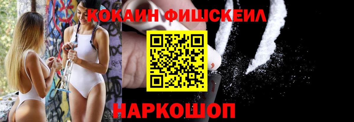 COCAIN Fish Scale  Вход с VPN  COCAIN Columbia  Волжский 