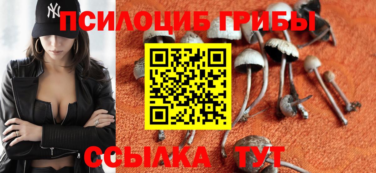 Псилоцибиновые грибы Psilocybine cubensis  Псилоцибиновые грибы прущие грибы  Волжский  Вход с VPN 