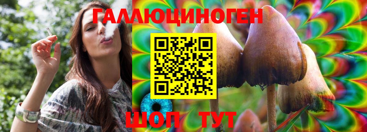 Псилоцибиновые грибы мухоморы Волжский